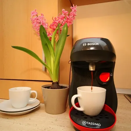 Lotus 3 Apartment Timisoara